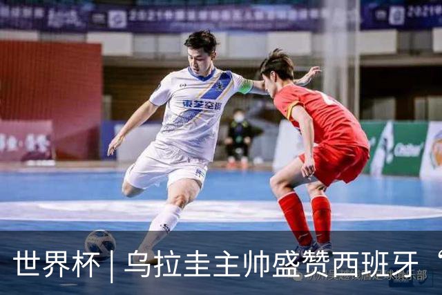 世界杯 | 乌拉圭主帅盛赞西班牙“精致足球”