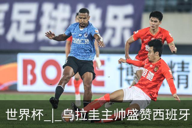 世界杯 | 乌拉圭主帅盛赞西班牙“精致足球”