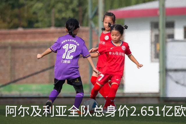 阿尔及利亚全队总身价2.651亿欧，26名球员中马扎的4500万欧最高