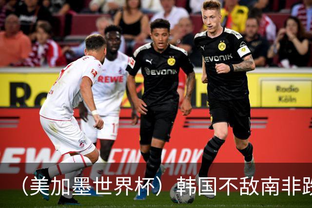 （美加墨世界杯）韩国不敌南非跌至小组第三 出线前景待定